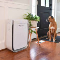 The Truth About Air Purifiers: What Doctors Recommend