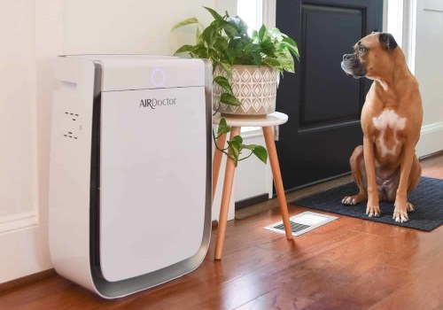 The Truth About Air Purifiers: What Doctors Recommend